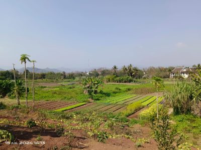 Selling vacant land in Na Deui village