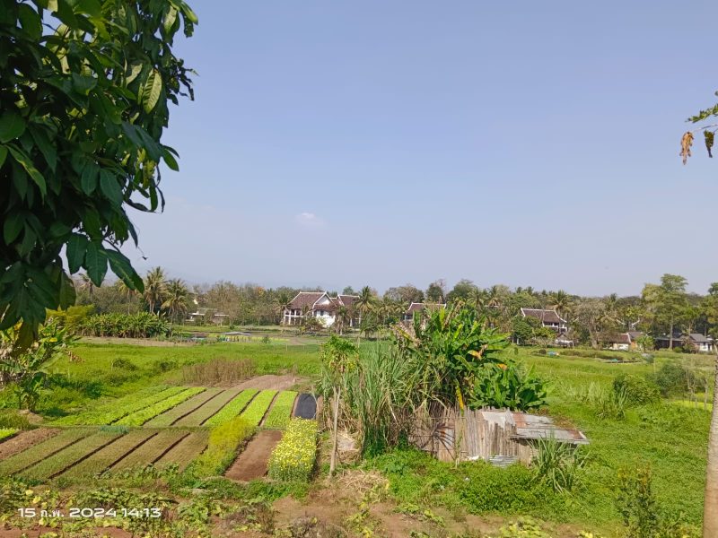 Selling vacant land in Na Deui village