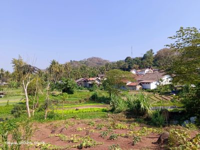 Selling vacant land in Na Deui village