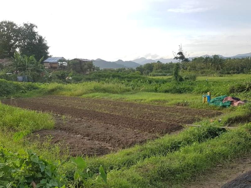 Selling vacant land in Na Deui village