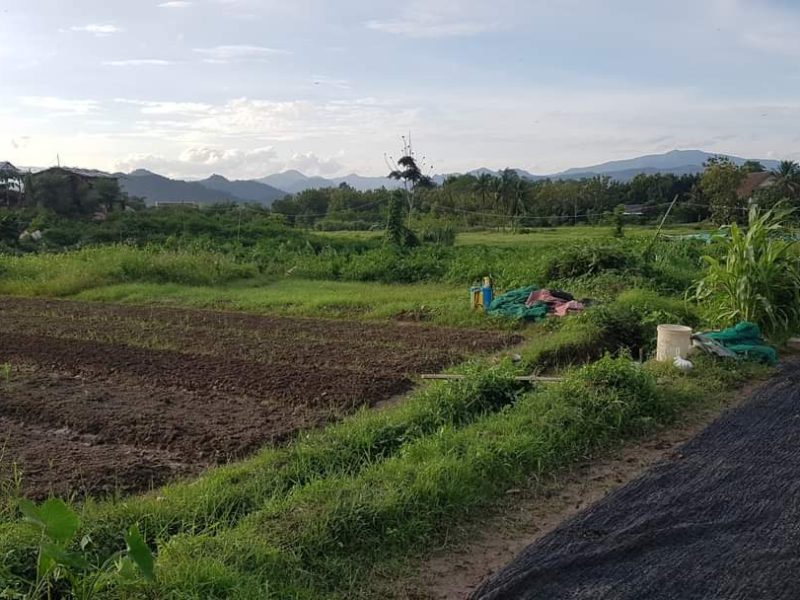 Selling vacant land in Na Deui village